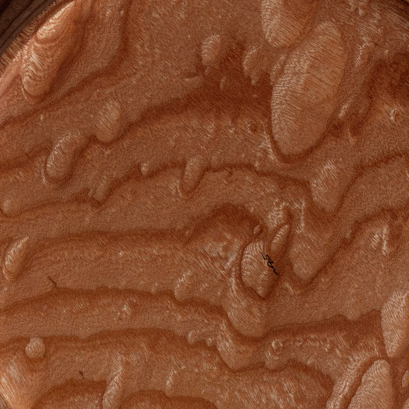 Kitagawa Chiyu sen-studio Plate 32.5cm Zelkova