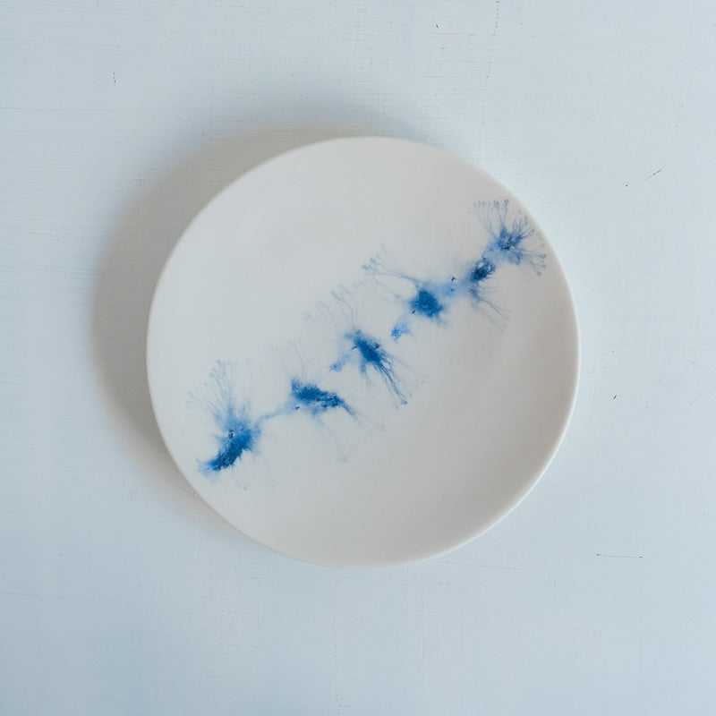 片瀬有美子 moca plate S A