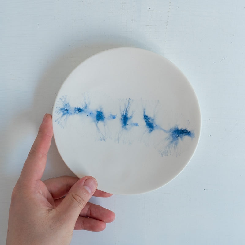 片瀬有美子 moca plate S A