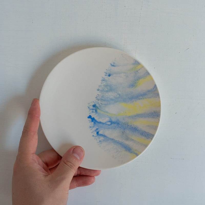 片瀬有美子 moca plate S B
