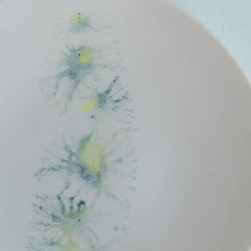 片瀬有美子 moca plate M B