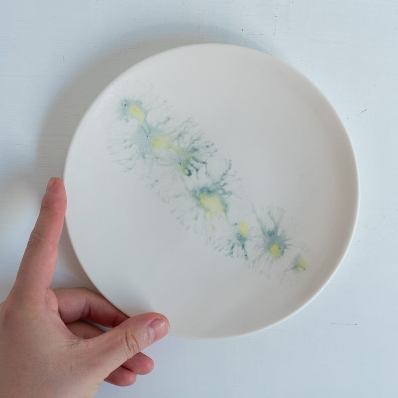 片瀬有美子 moca plate M B