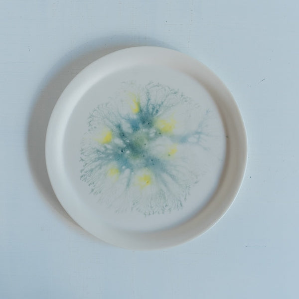 片瀬有美子 moca sweets plate S F