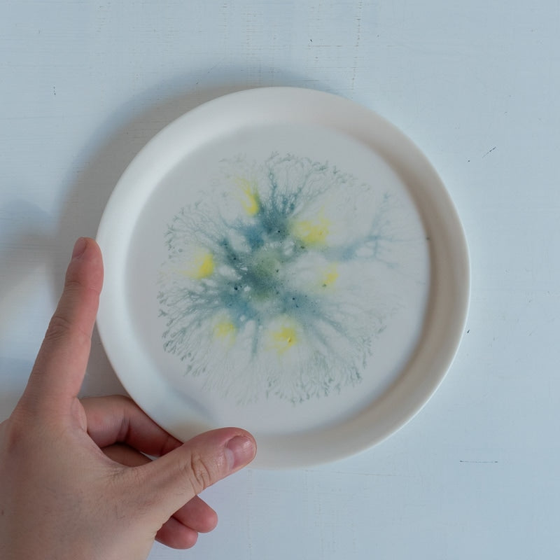 片瀬有美子 moca sweets plate S F
