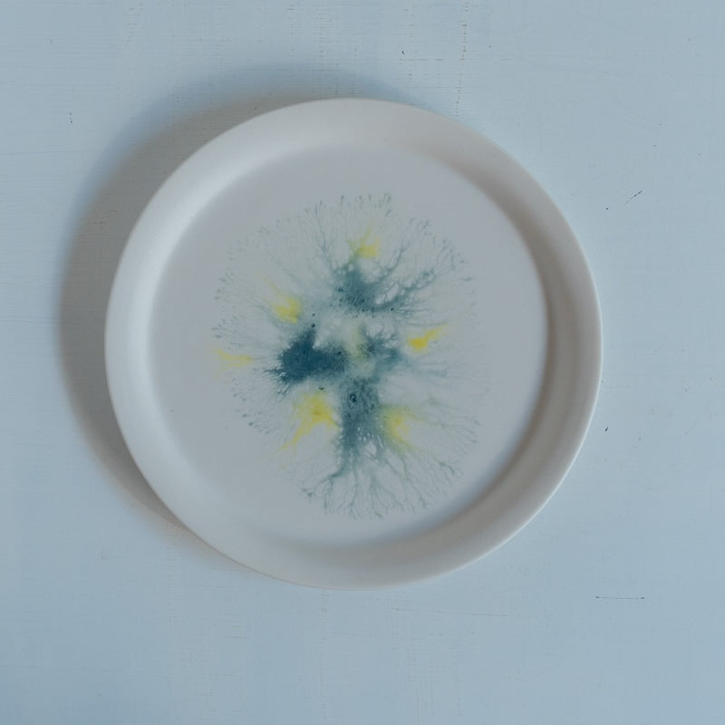 片瀬有美子 moca sweets plate S G