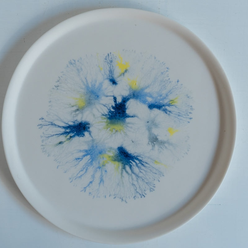 片瀬有美子 moca sweets plate L