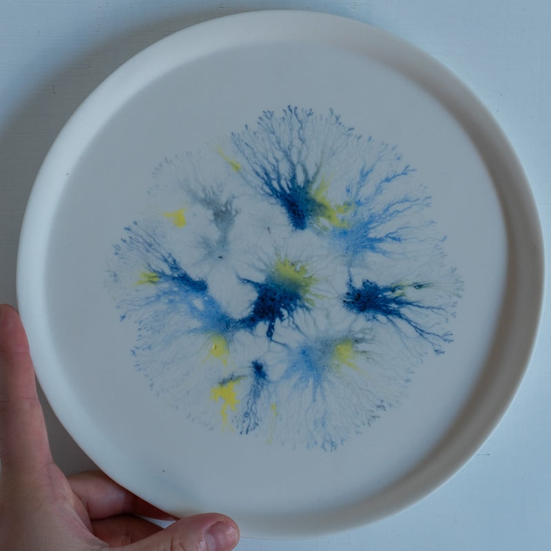 片瀬有美子 moca sweets plate L