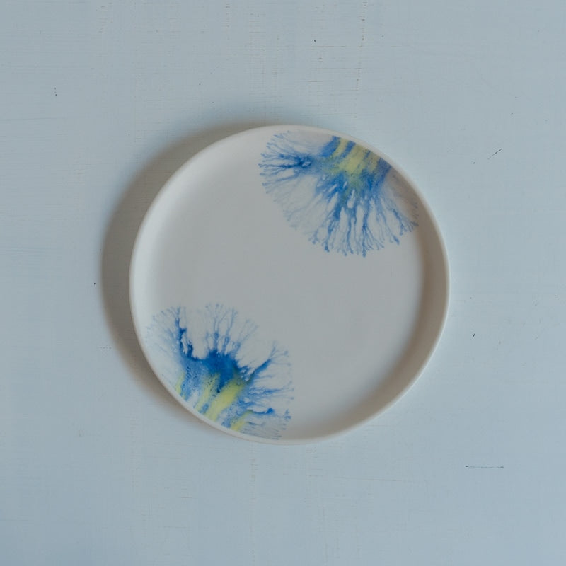 片瀬有美子 moca saucer B
