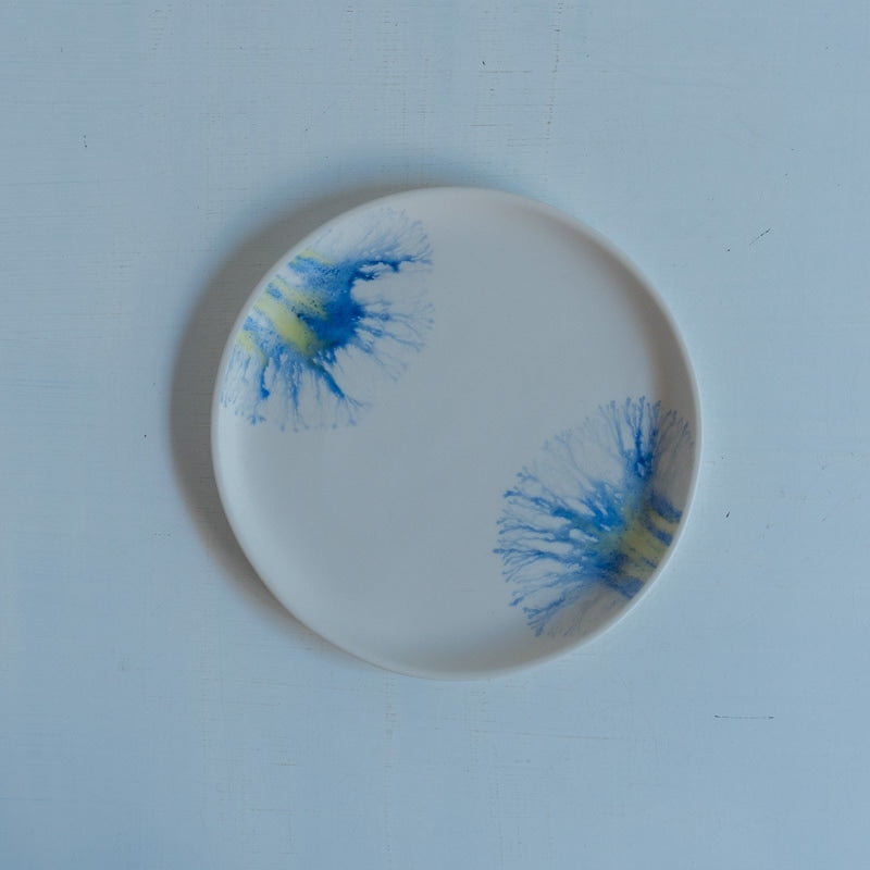 片瀬有美子 moca saucer B