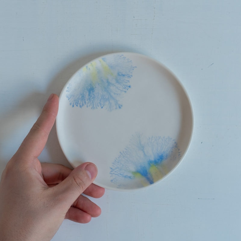 片瀬有美子 moca saucer C