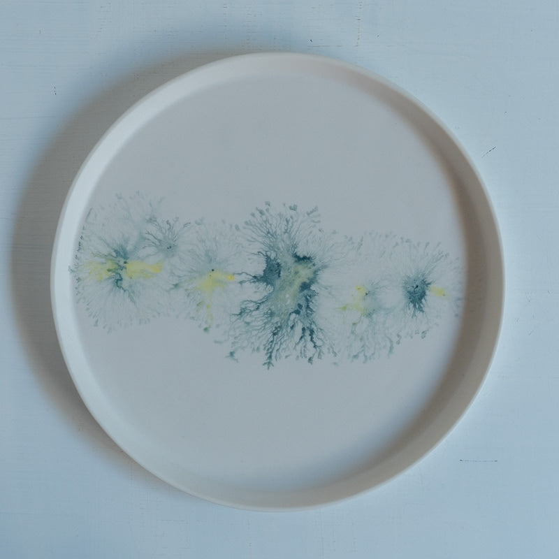 片瀬有美子 moca low rim plate B