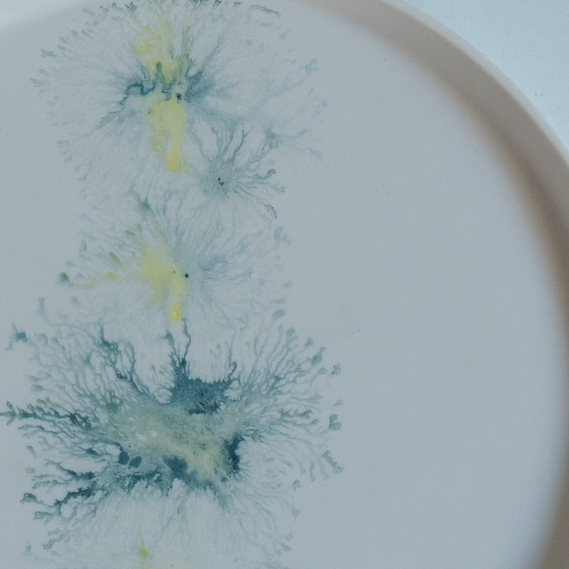片瀬有美子 moca low rim plate B