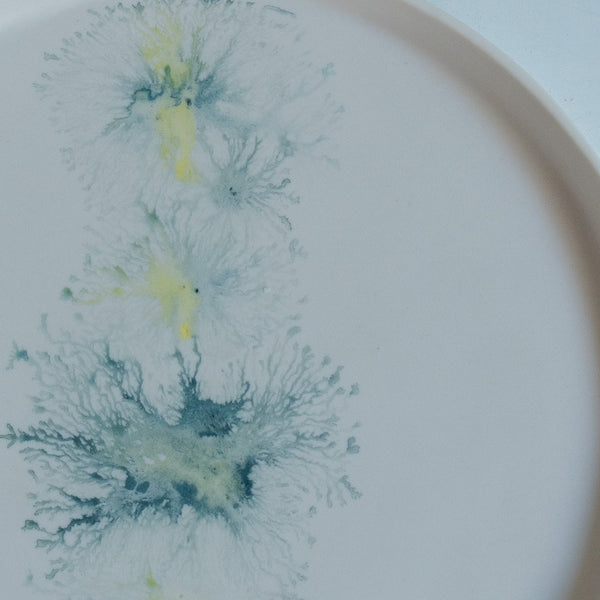片瀬有美子 moca low rim plate B