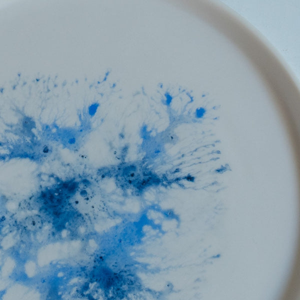 片瀬有美子 moca low rim plate C