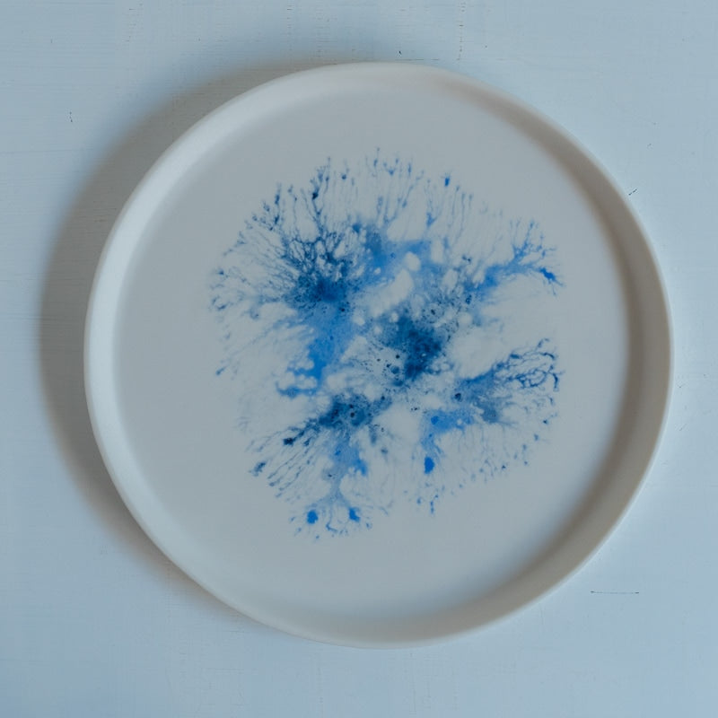 片瀬有美子 moca low rim plate C
