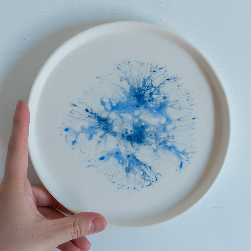 片瀬有美子 moca low rim plate C