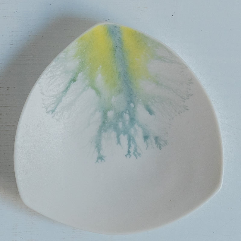 片瀬有美子 moca tray △ C