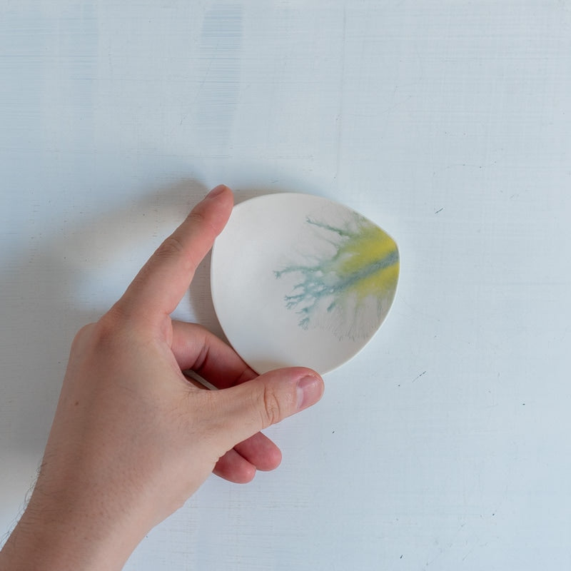片瀬有美子 moca tray △ C