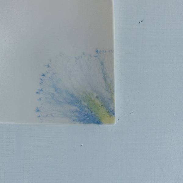片瀬有美子 moca tray □ A
