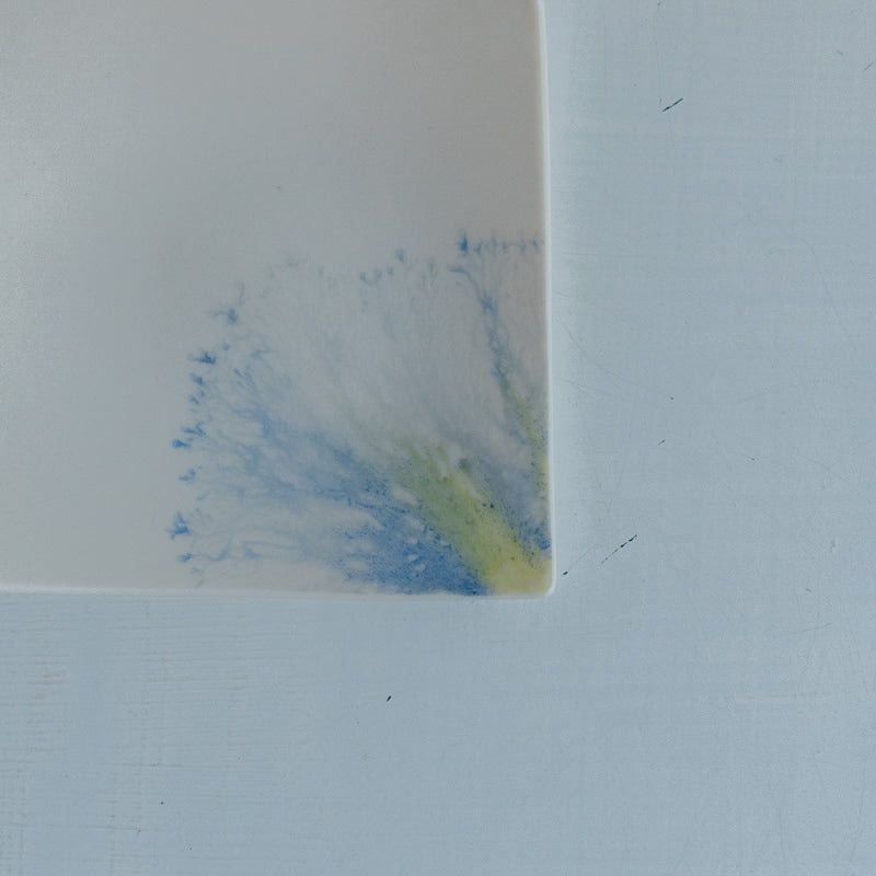 片瀬有美子 moca tray □ A