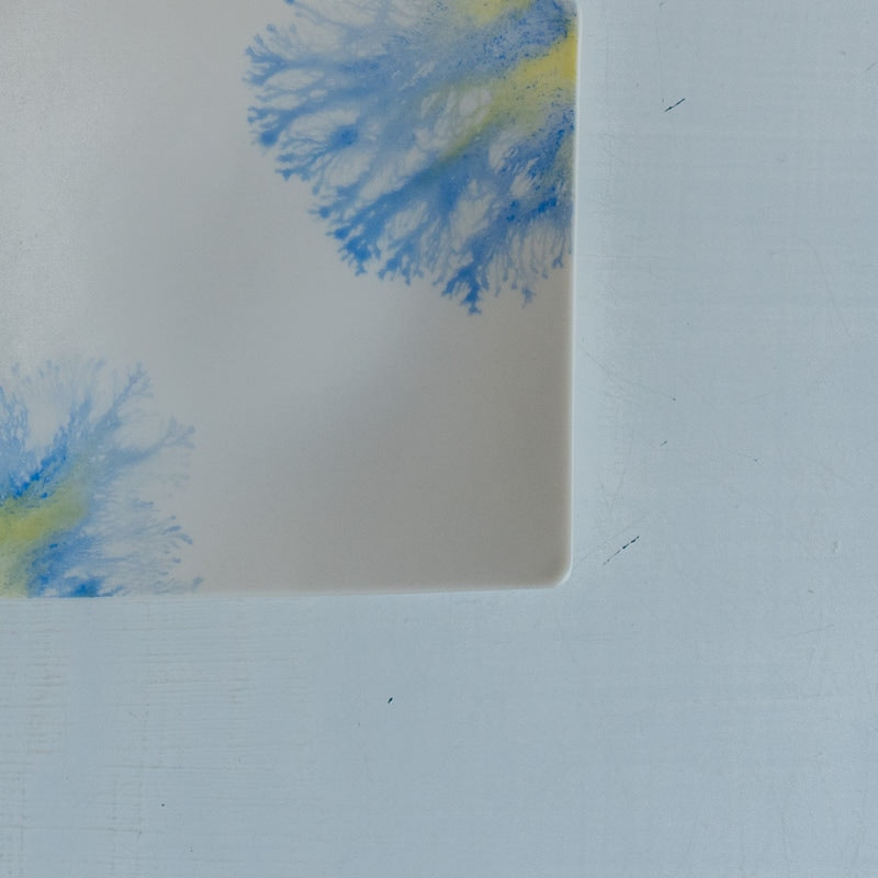 片瀬有美子 moca tray □ B