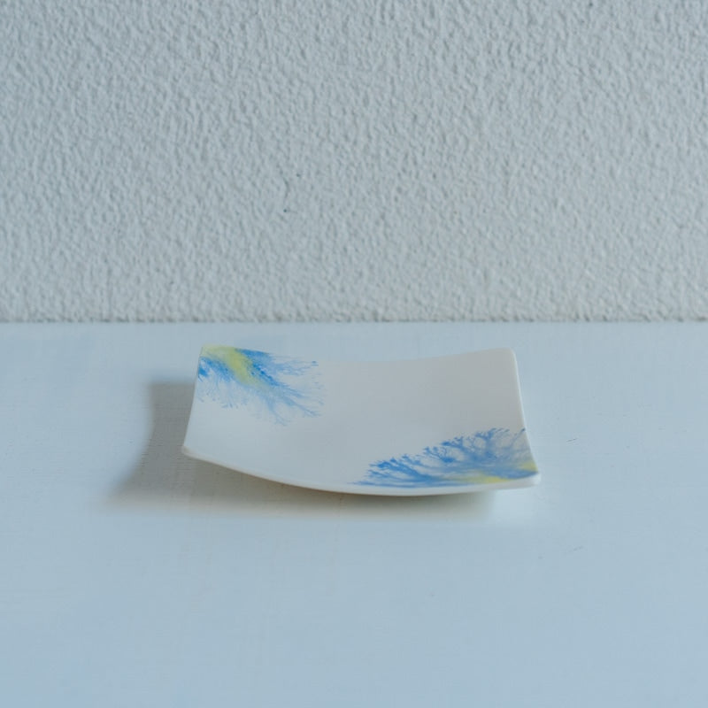 片瀬有美子 moca tray □ B
