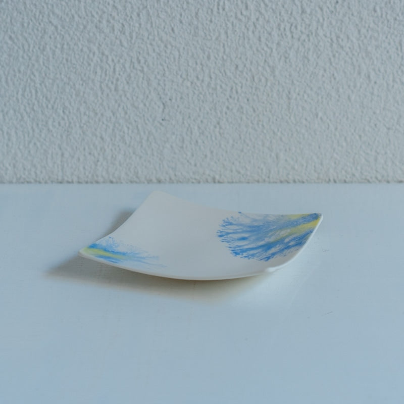片瀬有美子 moca tray □ B