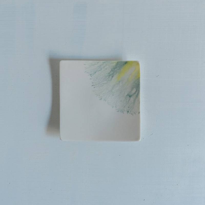 片瀬有美子 moca tray □ C