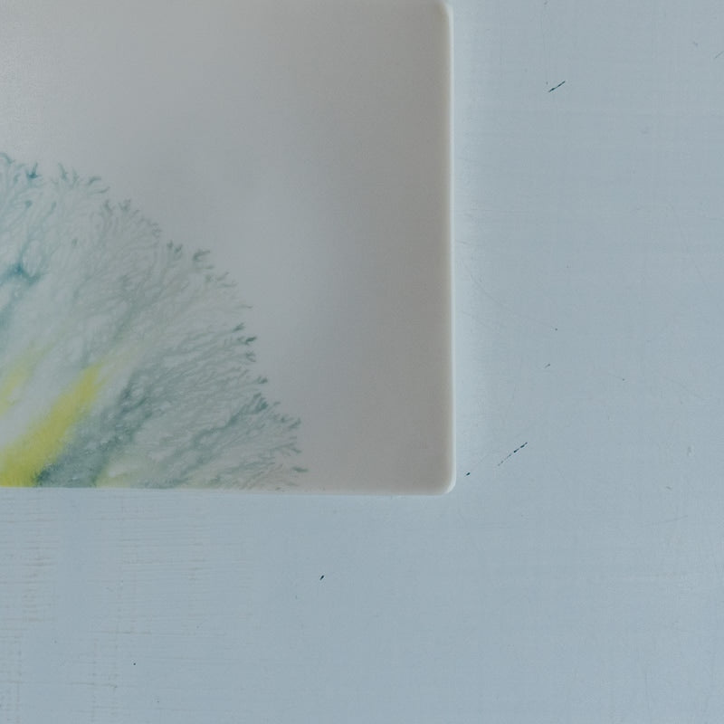 片瀬有美子 moca tray □ C