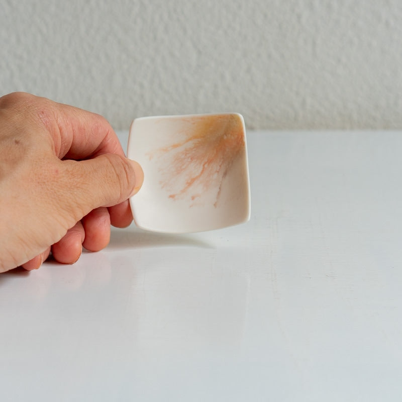 片瀬有美子 moca rest tray D