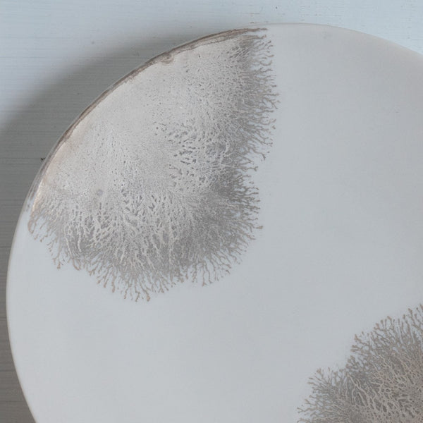 片瀬有美子 silver frost plate S