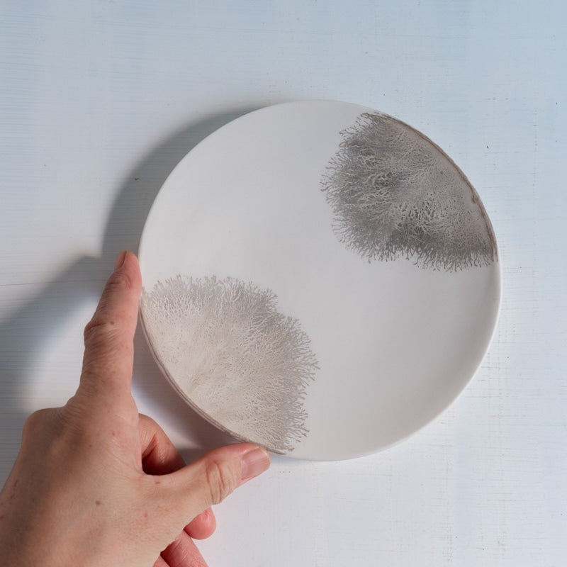 片瀬有美子 silver frost plate S