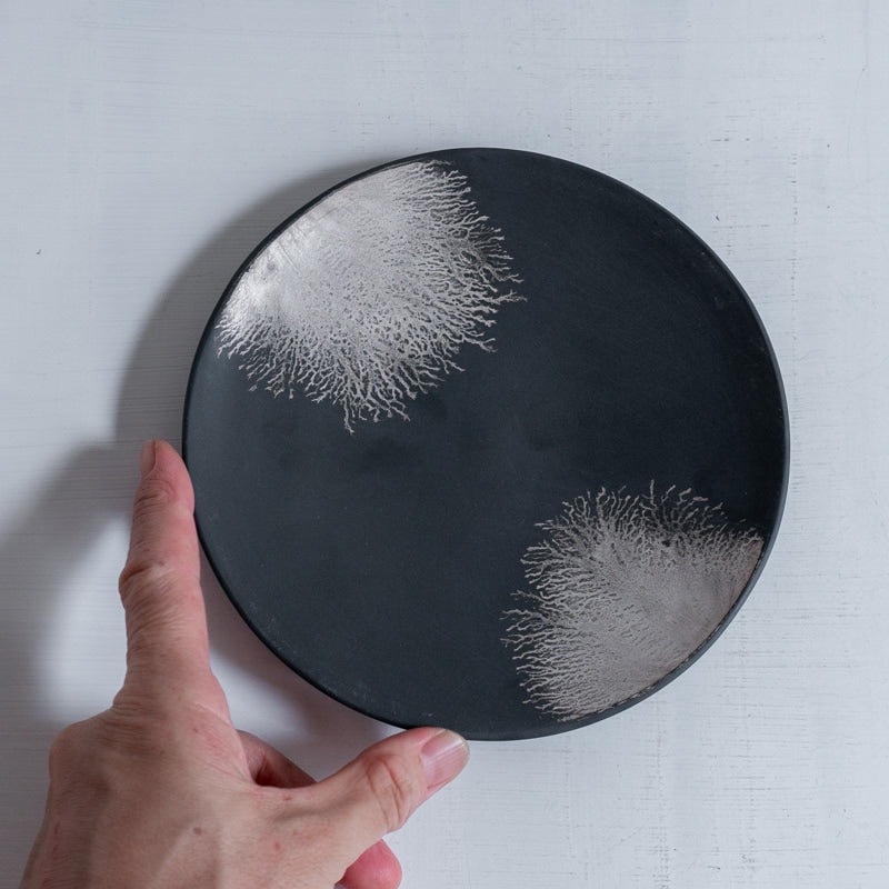 片瀬有美子 深閑 plate S B