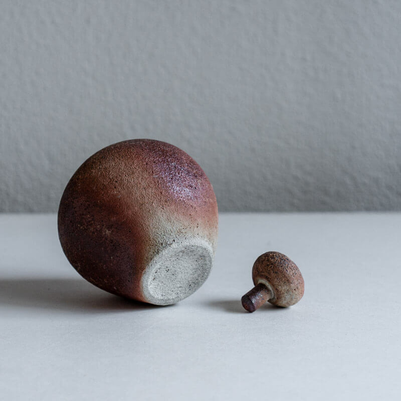 Mutsumi Ohashi Bizen-ware Kohiki Pottery Vase with Lid B