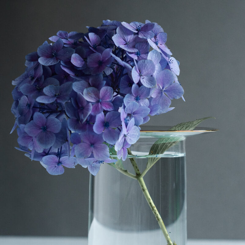 奥泰我 hoop vase kaku L