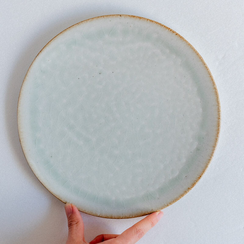 Tashiro Noriaki Ash Glaze Plate 22.5cm A