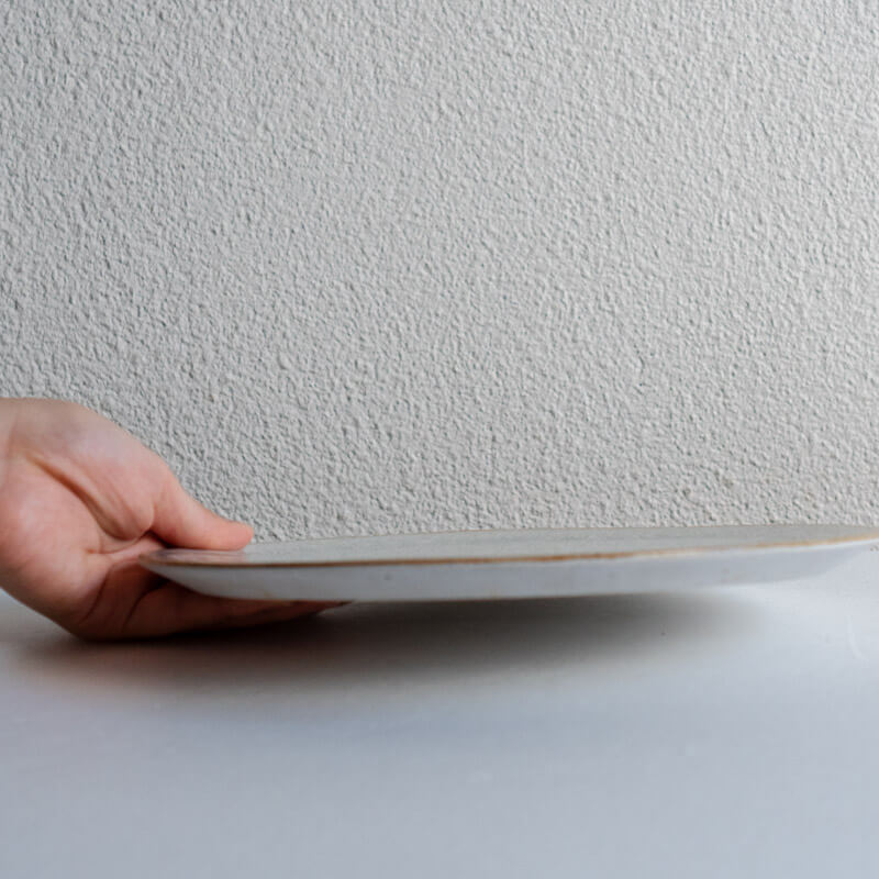 Tashiro Noriaki Ash Glaze Plate 22.5cm A